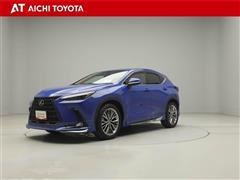 NX250 バージョンL