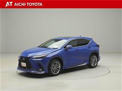 NX250 バージョンL