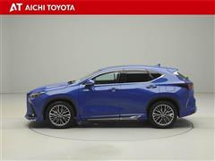 NX250 バージョンL