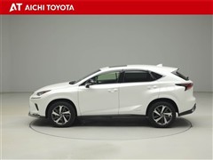 NX300h スパイス&シック