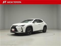 UX250h バ-ジョンC