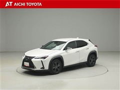 UX250h バ-ジョンC