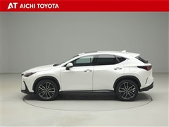 NX250 バージョンL