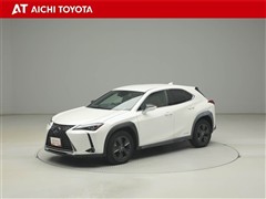 UX250h バージョンC