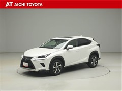 NX300 Iパッケージ