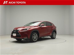 NX300h Iパッケージ