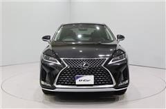 RX300 ヒョウジュンシャ