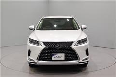 RX300 VER-L