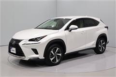 NX300h バージョンL