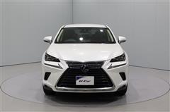 NX300h バージョンL