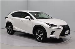 NX300h バージョンL