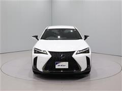 UX250h F-SPORT