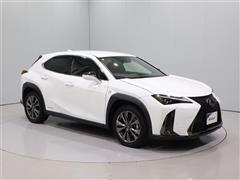 UX250h F-SPORT