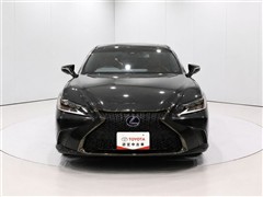 ES300h F-SPORT