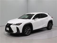 UX250h F-SPORT