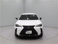 UX250h F-SPORT