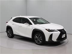 UX250h F-SPORT