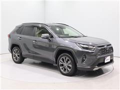 RAV4 HV G