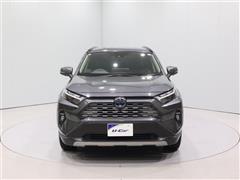 RAV4HV G