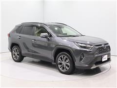 RAV4HV G