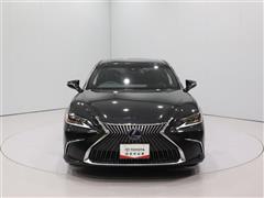 ES300h ヒョウジュン