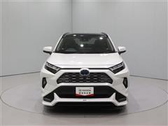 RAV4HV G