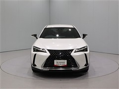UX250h VER-L