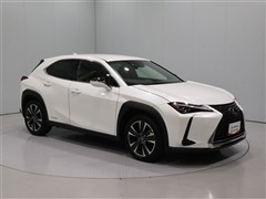 UX250h VER-L