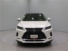 RX300 VER-L