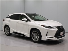 RX300 VER-L