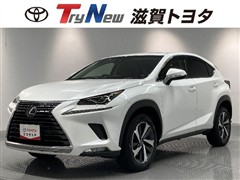 NX300 IーPKG ムーンルーフ