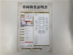 NX300 IーPKG ムーンルーフ