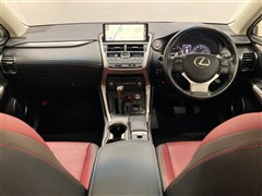 NX300 IーPKG ムーンルーフ