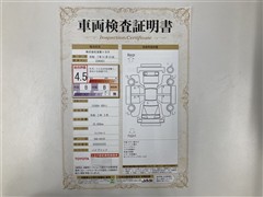 IS300h VER-L BSM ETC