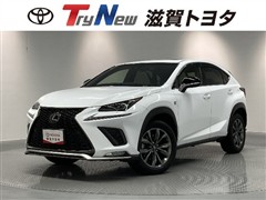 NX300 FSPORT