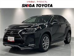 NX200t I-PKG フルエアロ