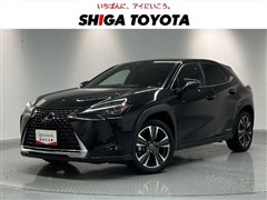 UX250h VER-C PVM BSM