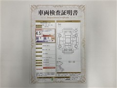 UX250h VER-C PVM BSM