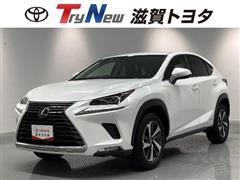 NX300h Iパッケージ BSM