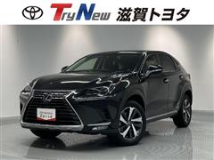 NX300h バージョンL