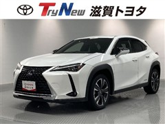 UX250h VER-C ムーンルーフ