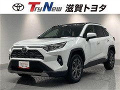 RAV4 G 4WD サンルーフ PVM