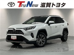 RAV4 G 4WD サンルーフ PVM