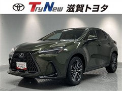 NX350h VER-L