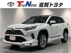 RAV4 G Zパッケージ 4WD