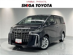 トヨタ　アルファード:S 8ニン リヤモニ