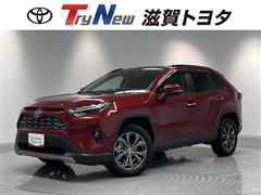 トヨタ RAV4 HEV G 4WDパノラマ