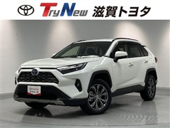 RAV4HEV G PVM ETC