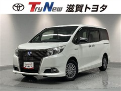 エスクァイアHEV GiBKテーラード