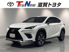 NX300h FSPORT 4WD